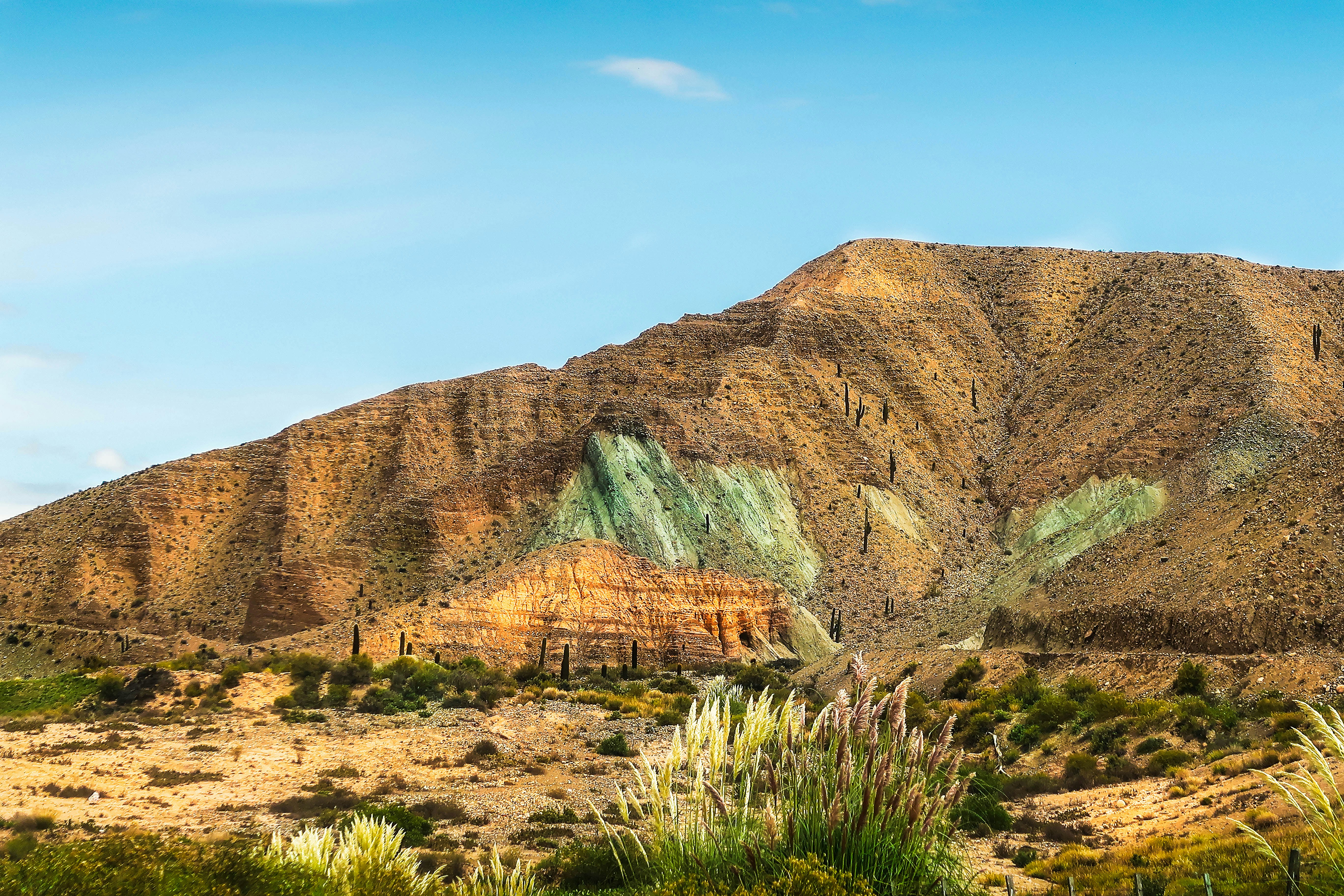 Photo by argentinanatural