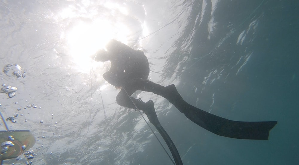 Frau im schwarz-weißen Bikini unter Wasser