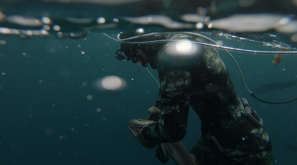 Freediver in wetsuit and mask preparing to dive