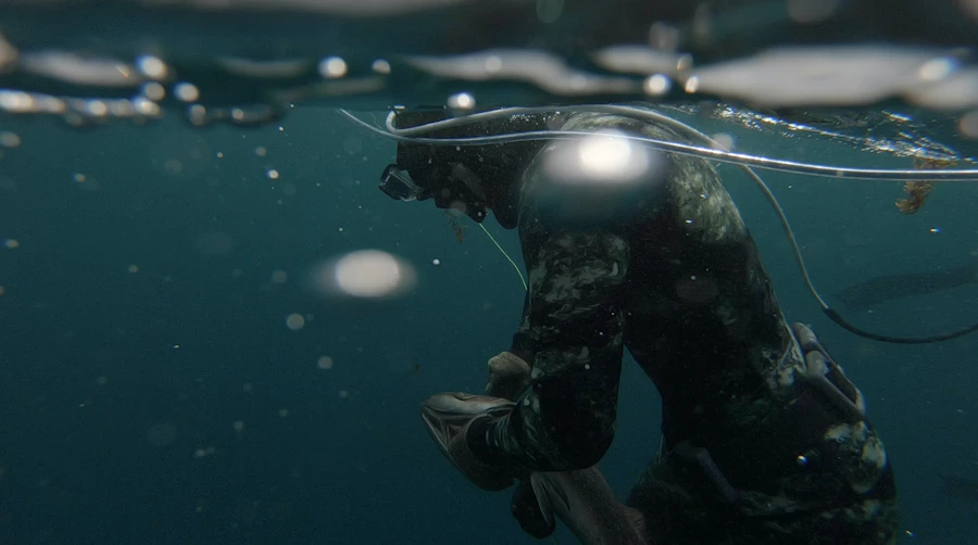 Freediver in a camouflage wetsuit descending just below the surface