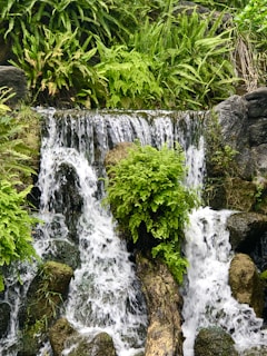 A natural stone waterfall surrounded by vibrant flowers and ferns, creating a peaceful garden retreat.