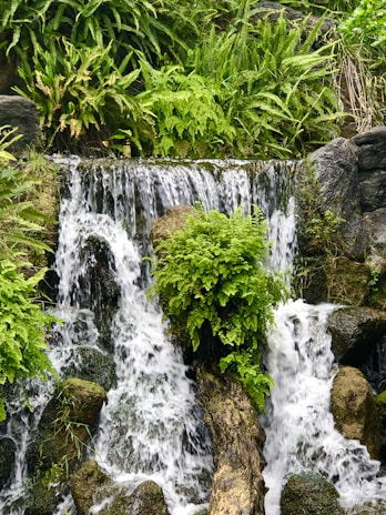 A natural stone waterfall surrounded by vibrant flowers and ferns, creating a peaceful garden retreat.