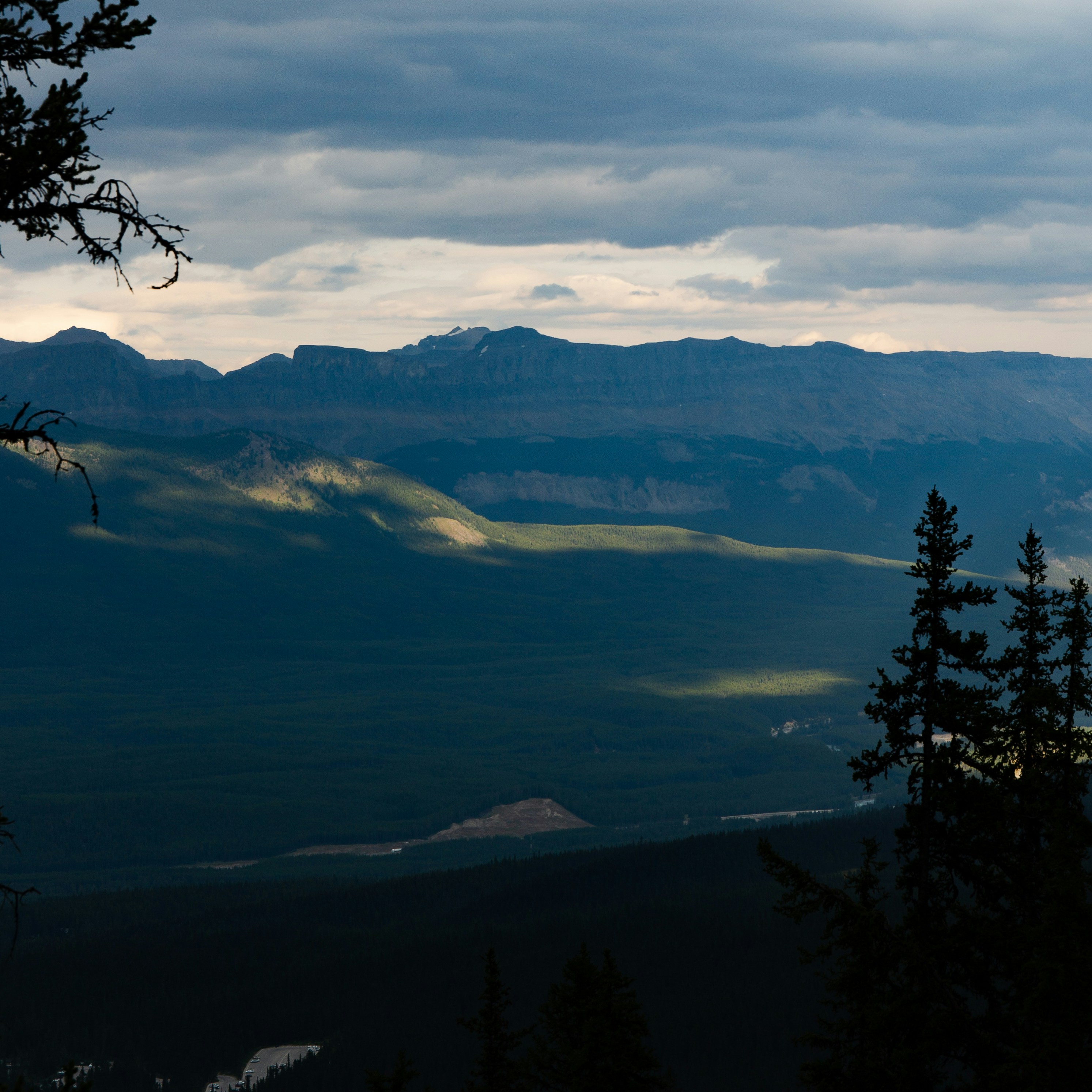 green tree on top of mountain during daytime