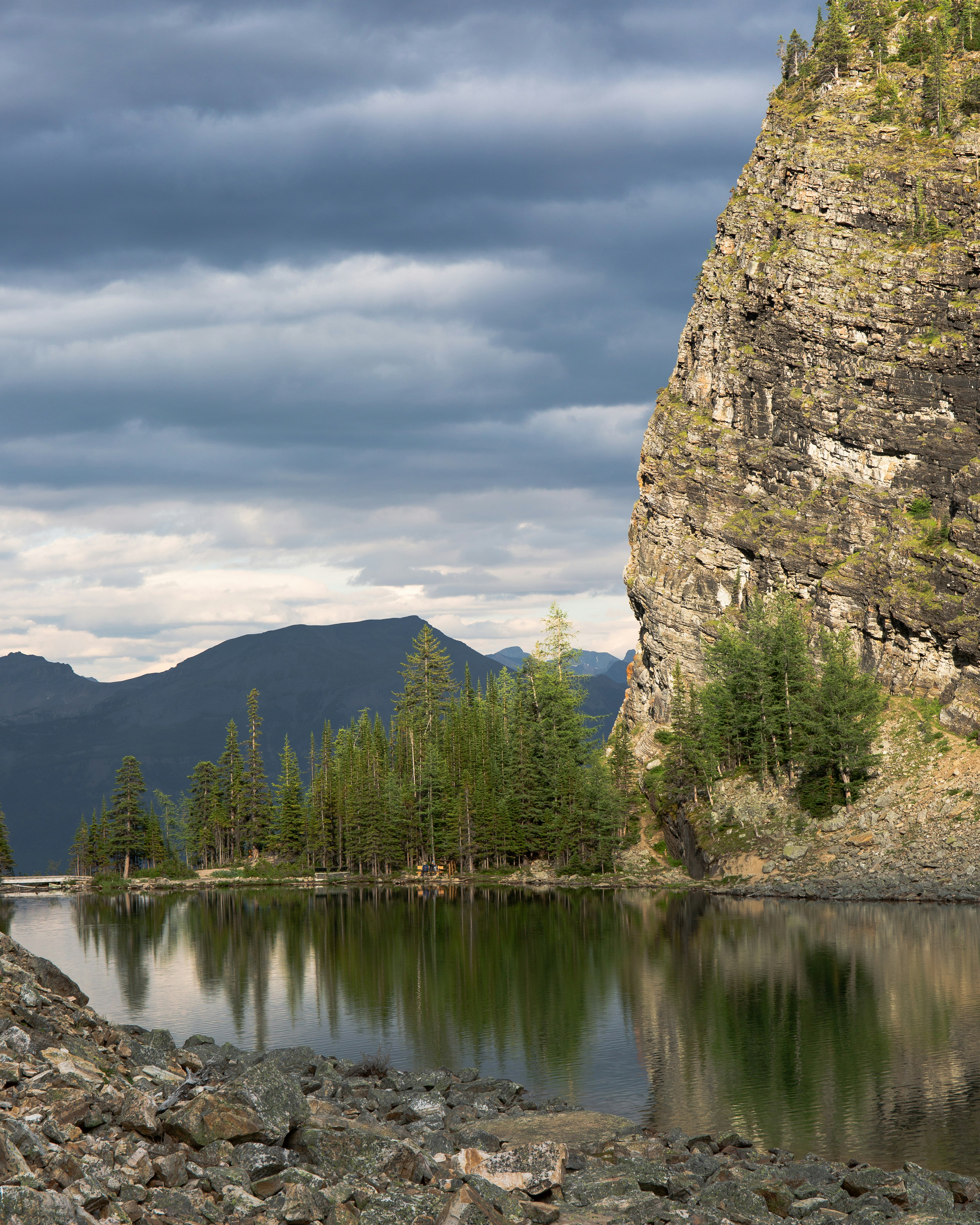 green trees near body of water during daytime