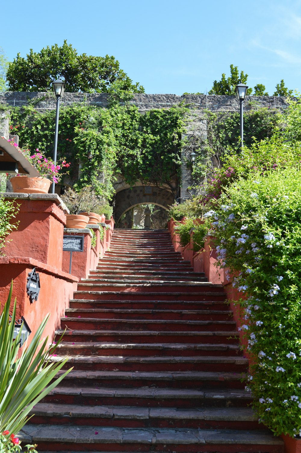 brown wooden stairs with green plants