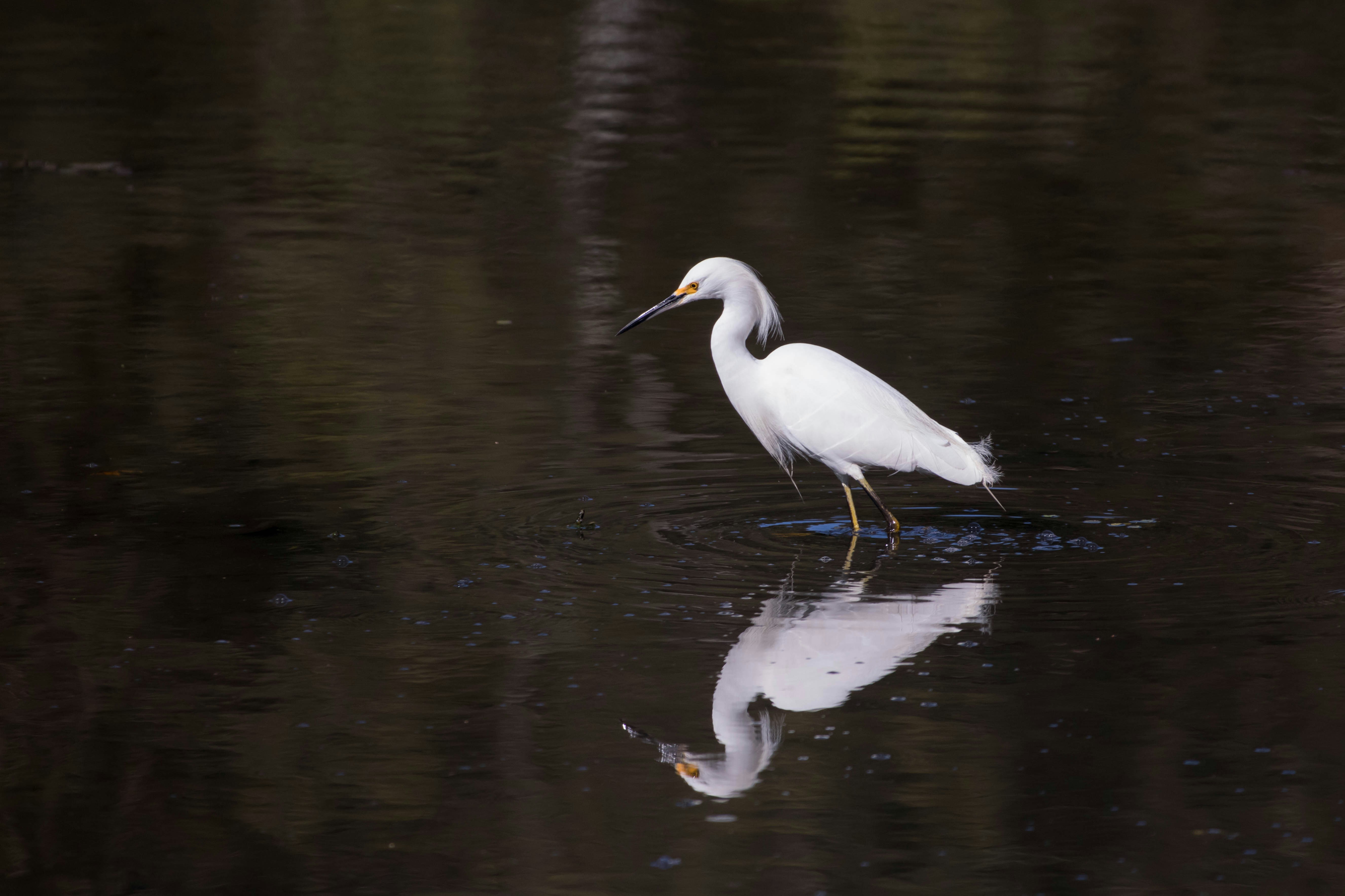 Photo by sonianadales