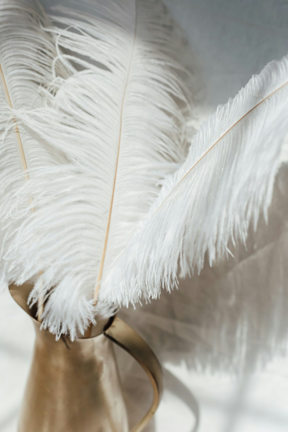 white feather on brown wooden table