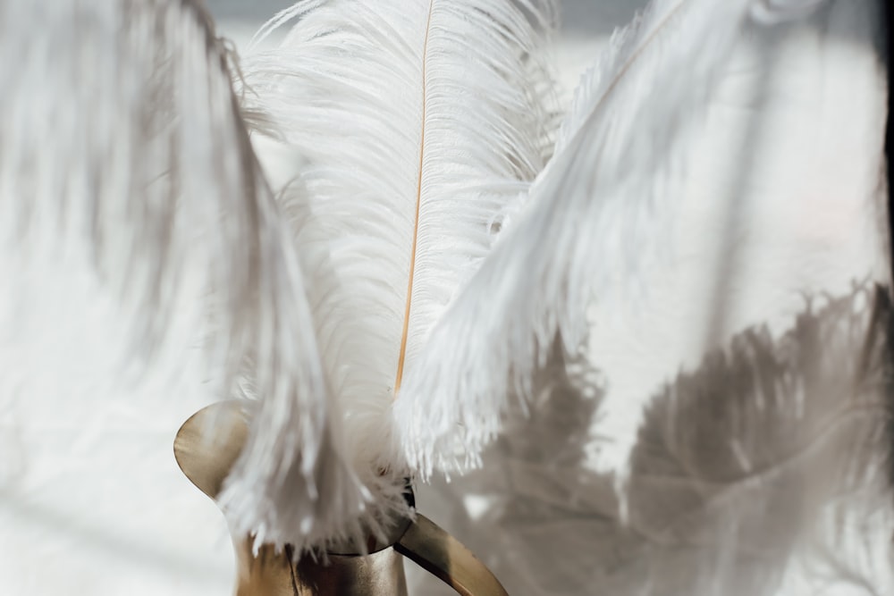 plume blanche sur bâton en bois brun