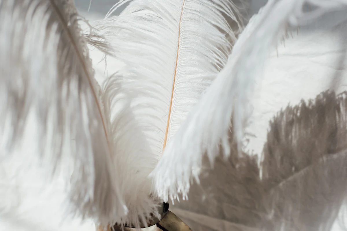 Two white feathers resting side by side, symbol of balance