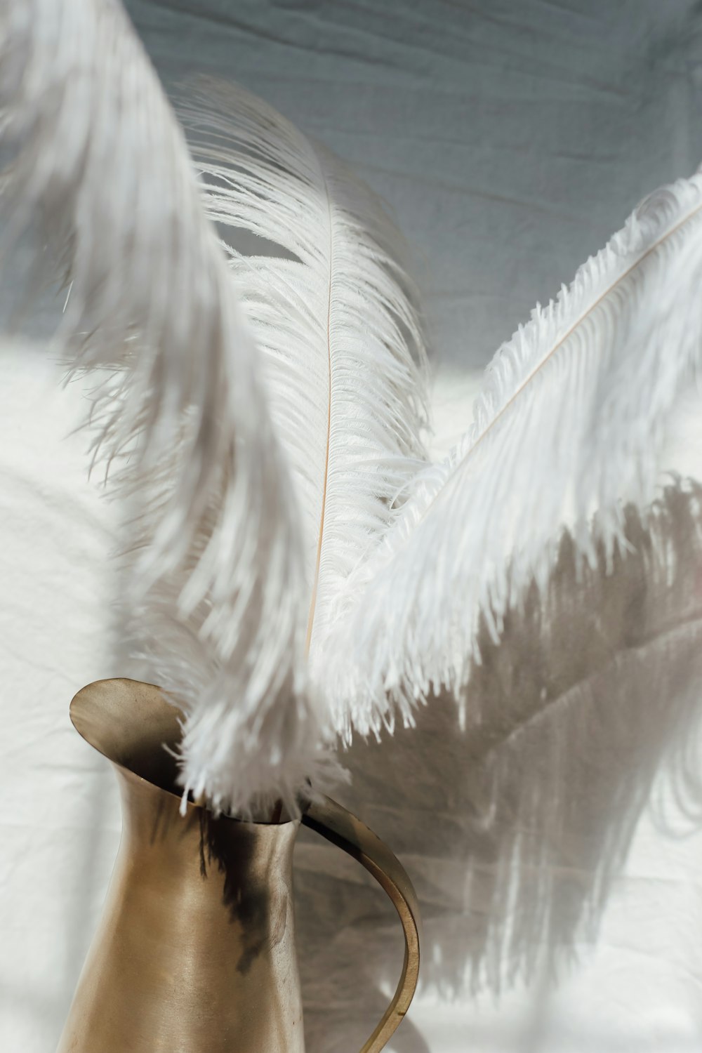 white feather on brown wooden table