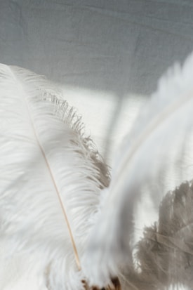 Soft, white feathers with delicate strands are gently resting, casting shadows on a light gray or beige surface. The feathers appear ethereal and light against the subtle backdrop.