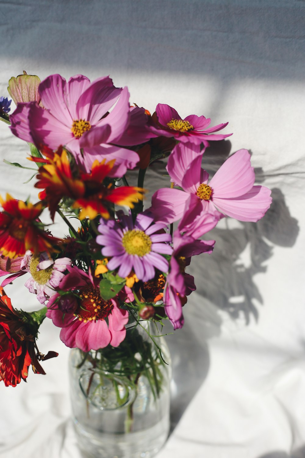 fiori rosa e bianchi in vaso di vetro trasparente