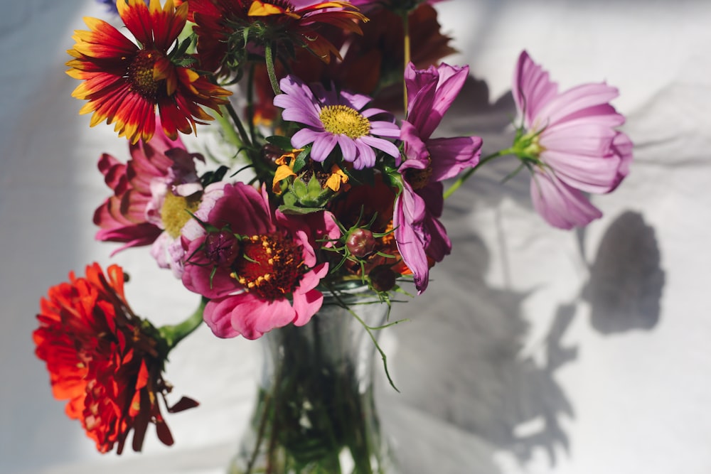 pink and white flowers in tilt shift lens