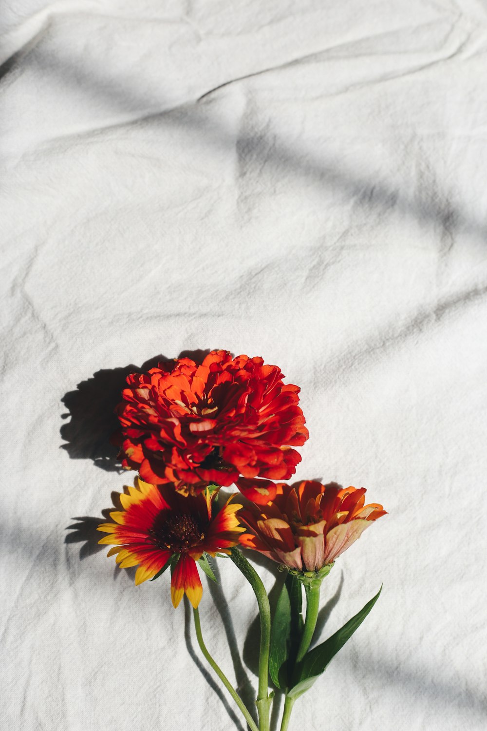 flor roja y amarilla sobre tela blanca