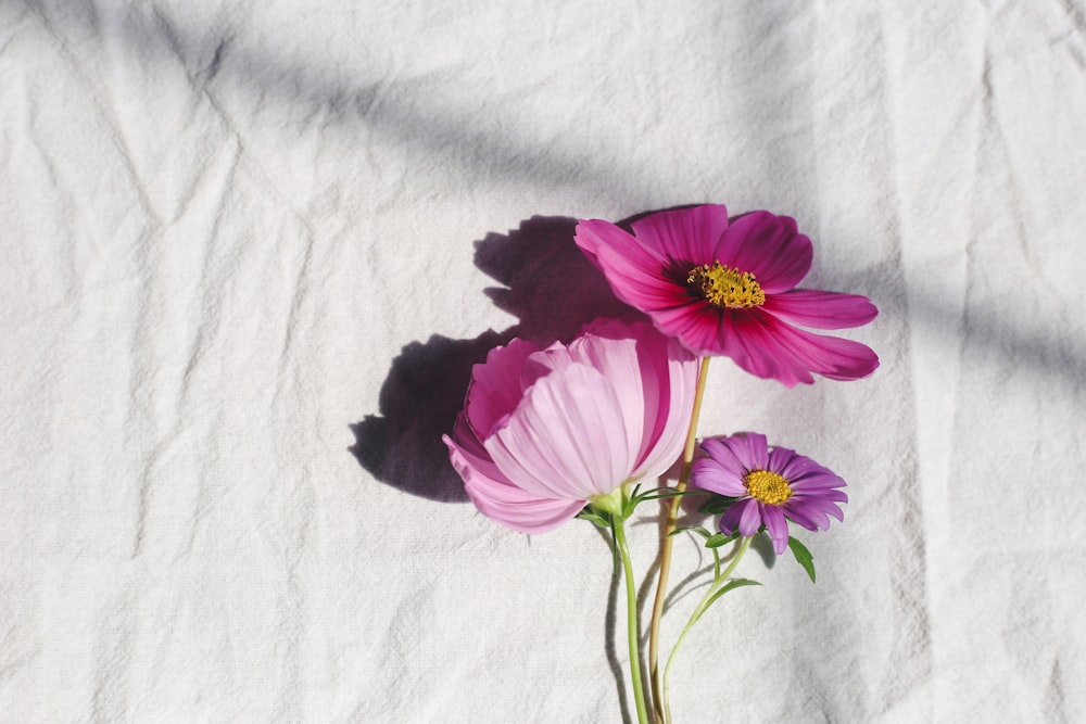 purple flower on white textile