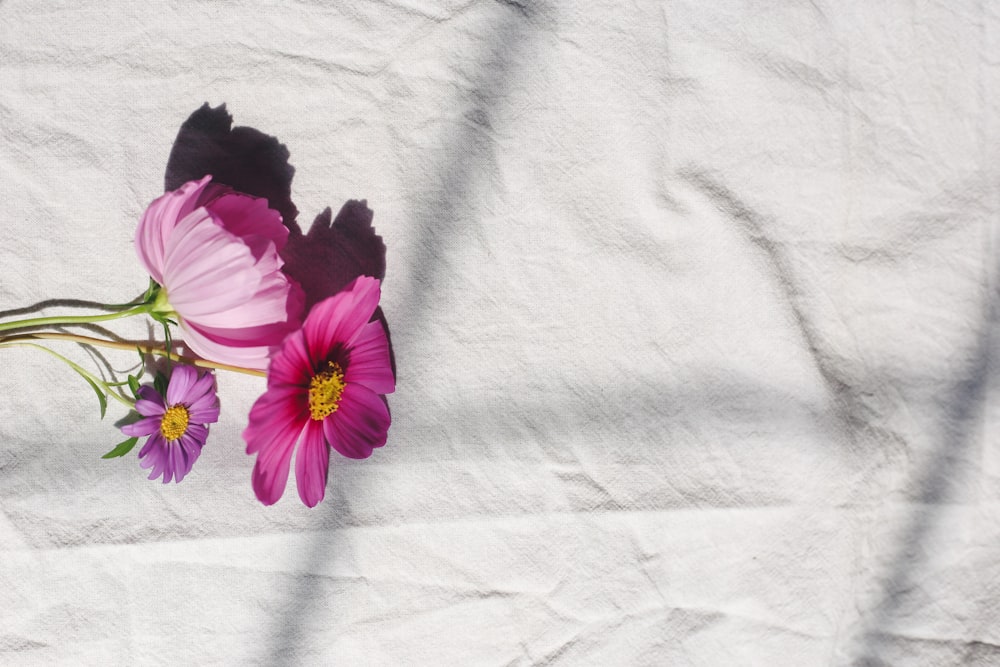 purple flower on white textile