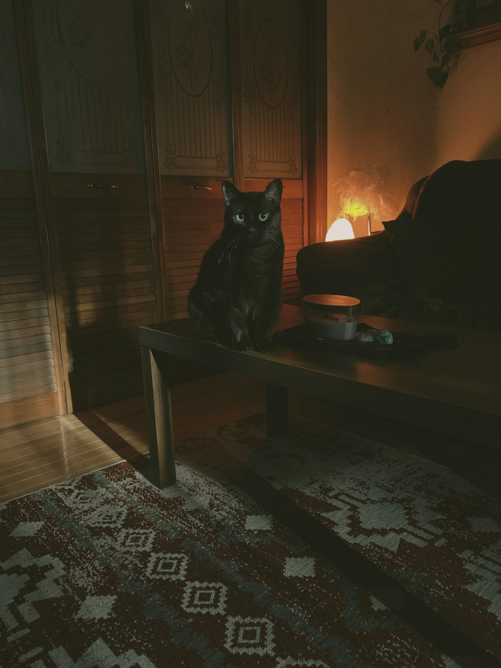 black cat on brown wooden table