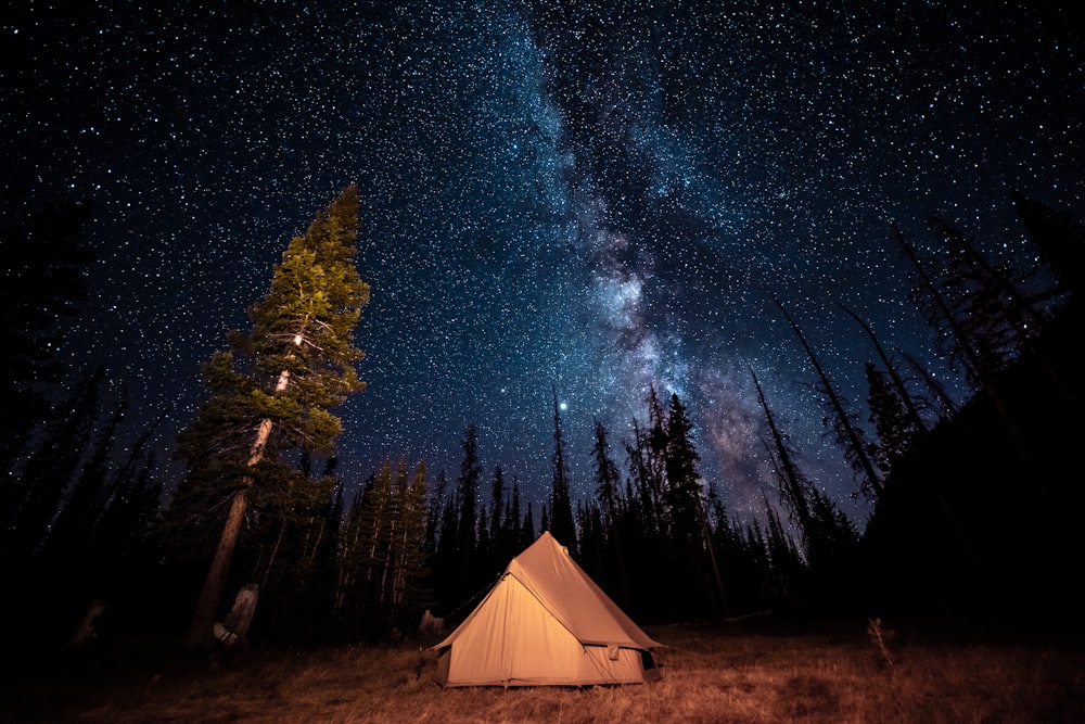 white tent under starry night