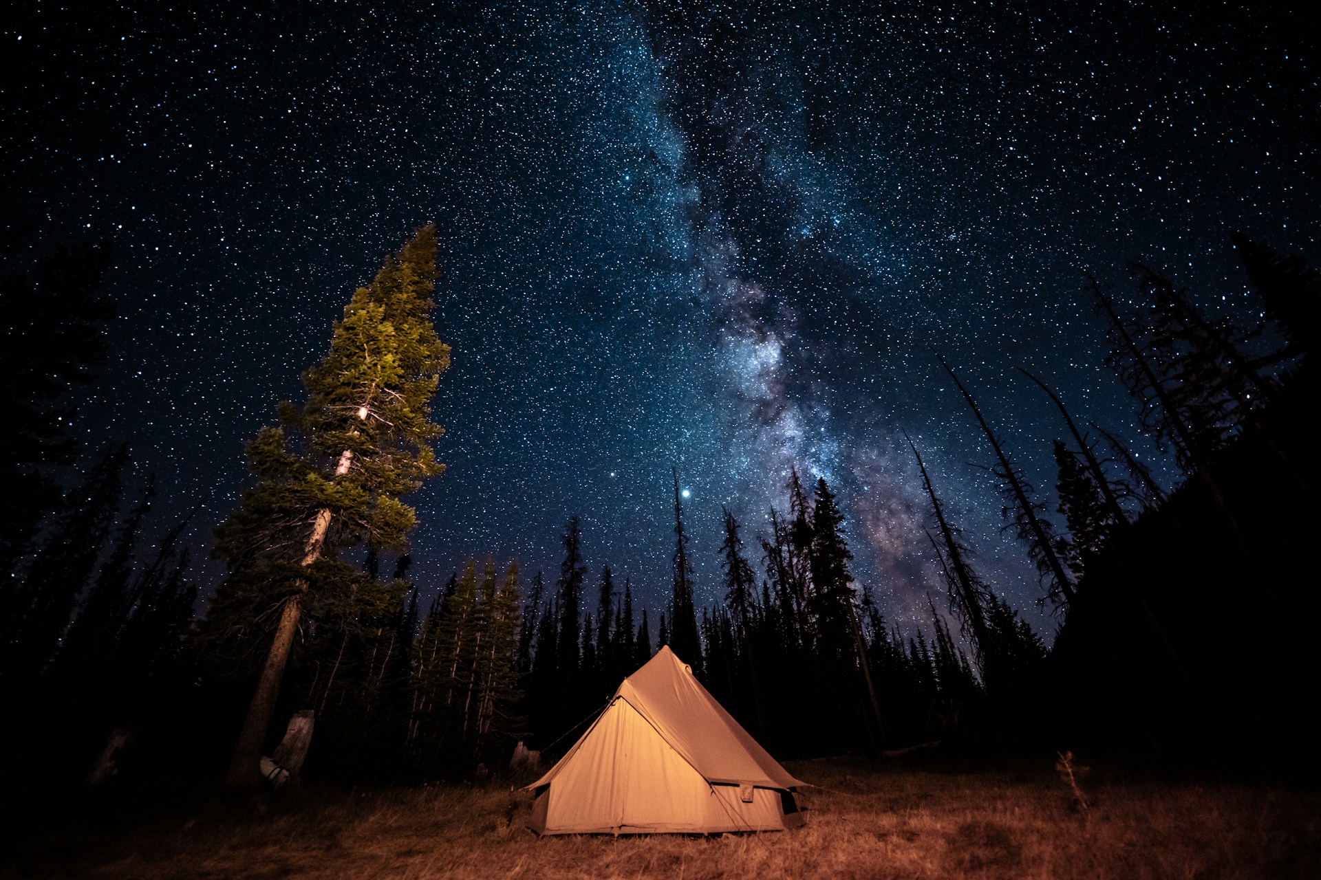 white tent under starry night
