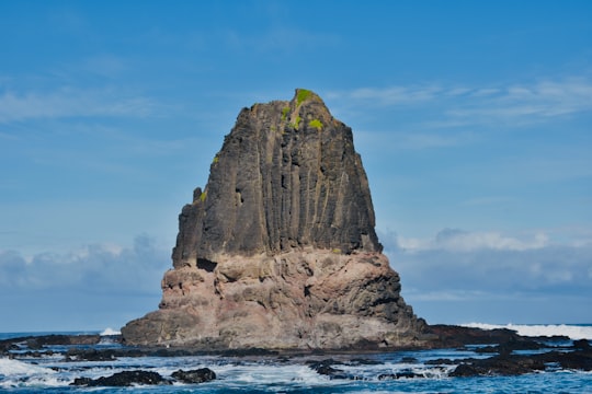 brown rock formation on blue sea under blue sky during daytime in RACV Cape Schanck Resort Australia