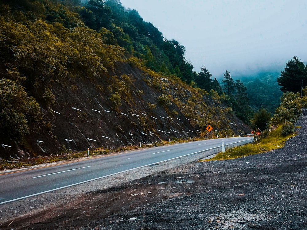 gray asphalt road between green trees during daytime