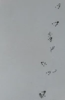 Minimalist grid of faint black dots on off-white, some connected by barely visible lines.