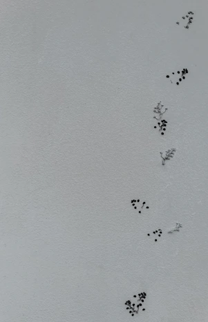 Minimalist grayscale pattern of interconnected dots symbolizing connections.
