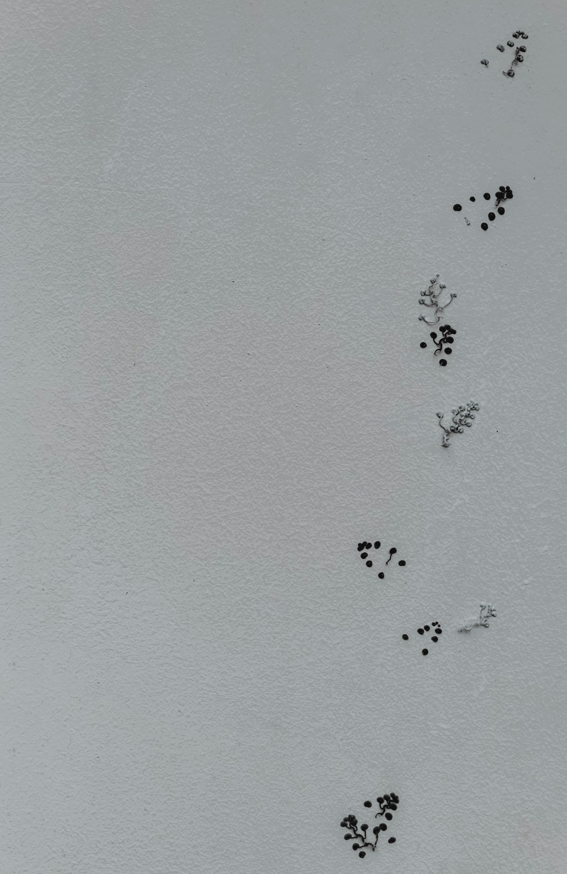 woman wearing yellow long-sleeved dress under white clouds and blue sky during daytime