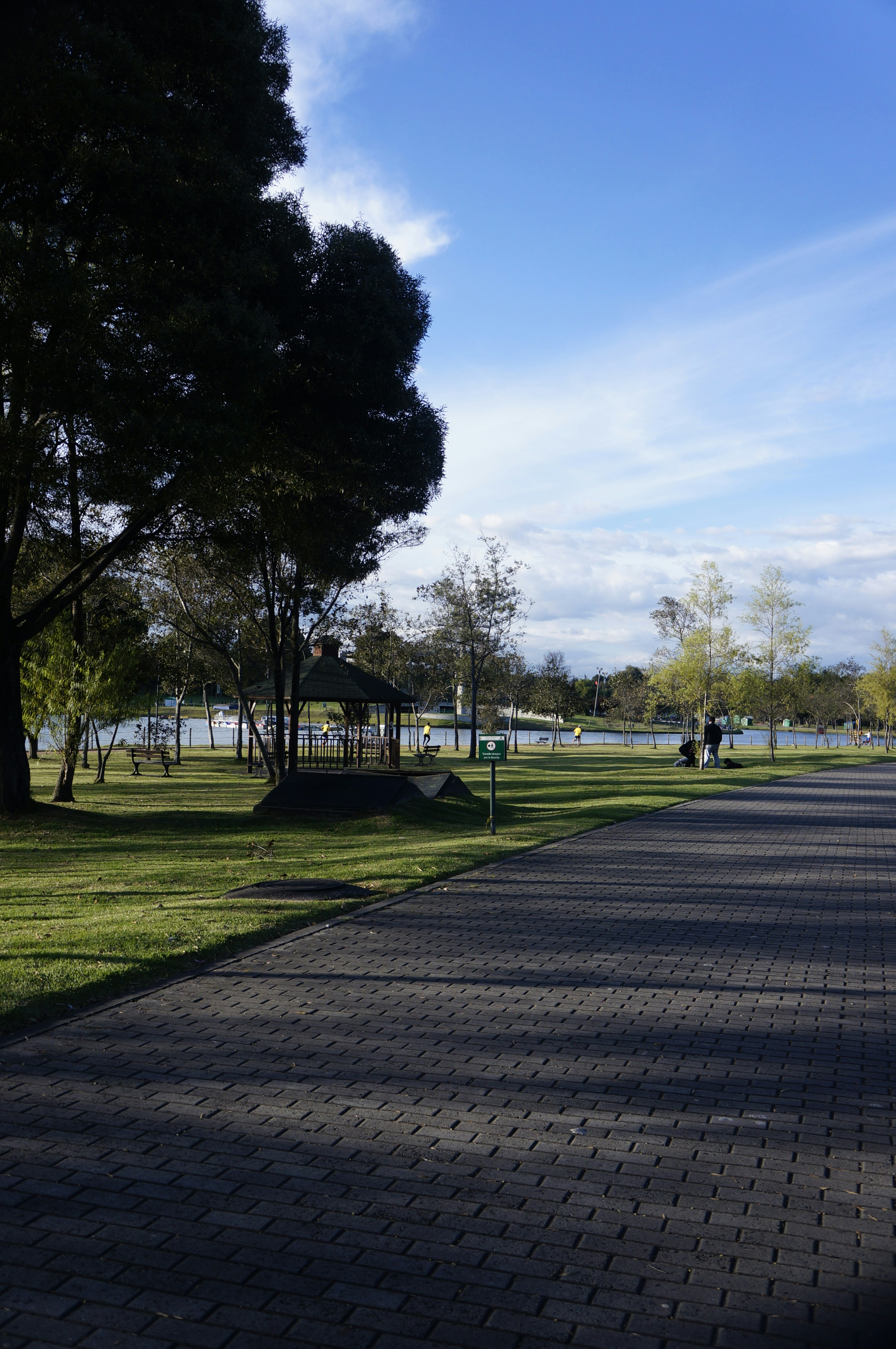 green grass field with trees under blue sky during daytime