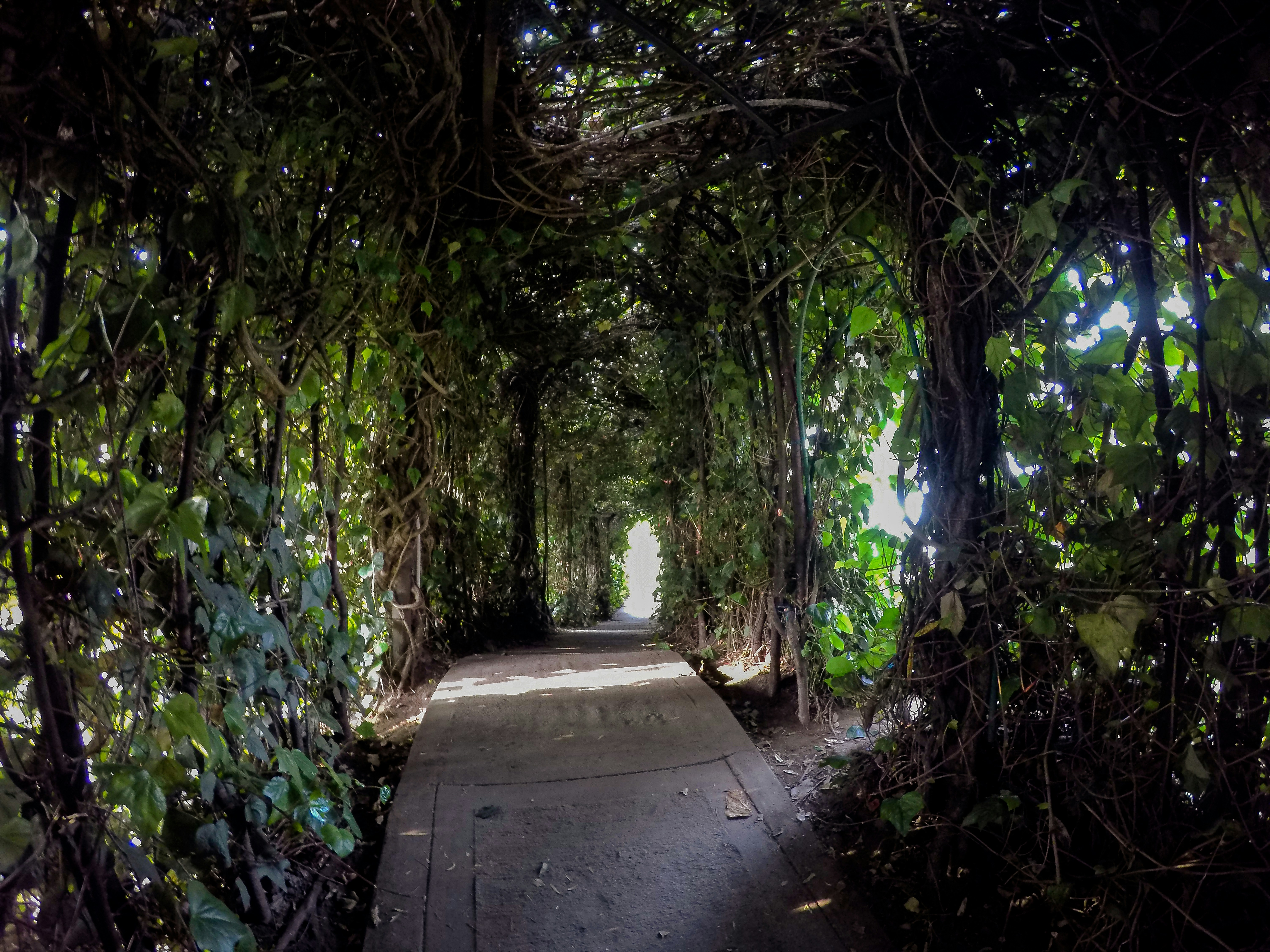 Photo by andresloquesea