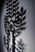 An artistic shot of shadows cast by tree branches on a wall.
