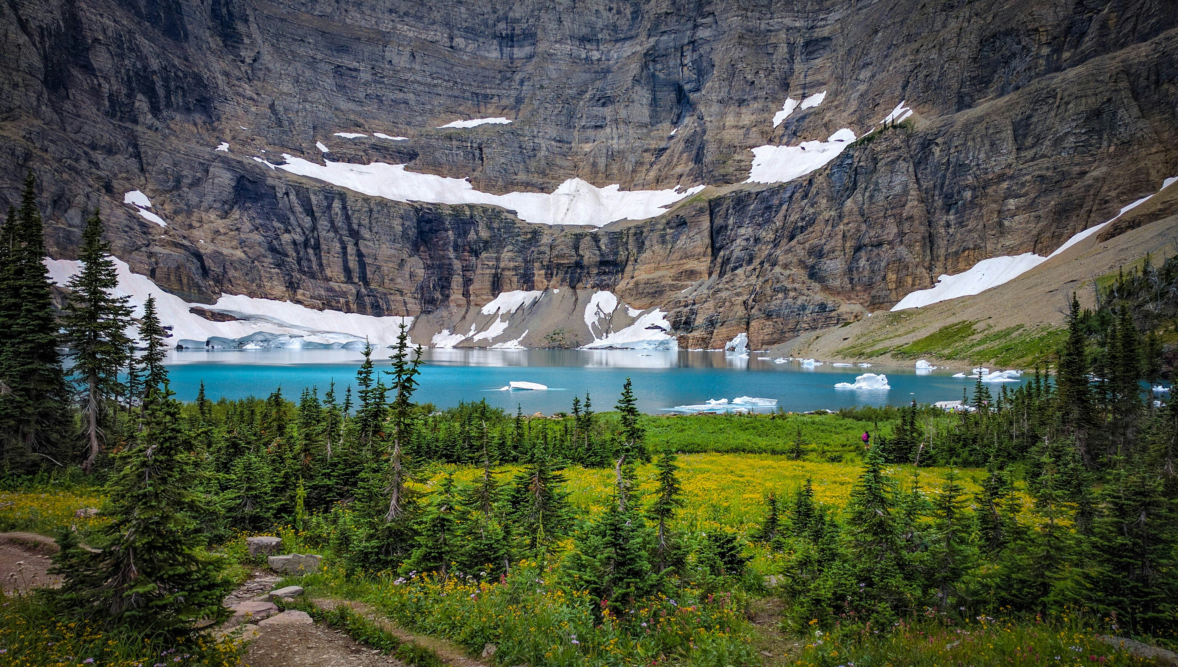 green trees near body of water during daytime, flowers around iceberg lake at glacier national park