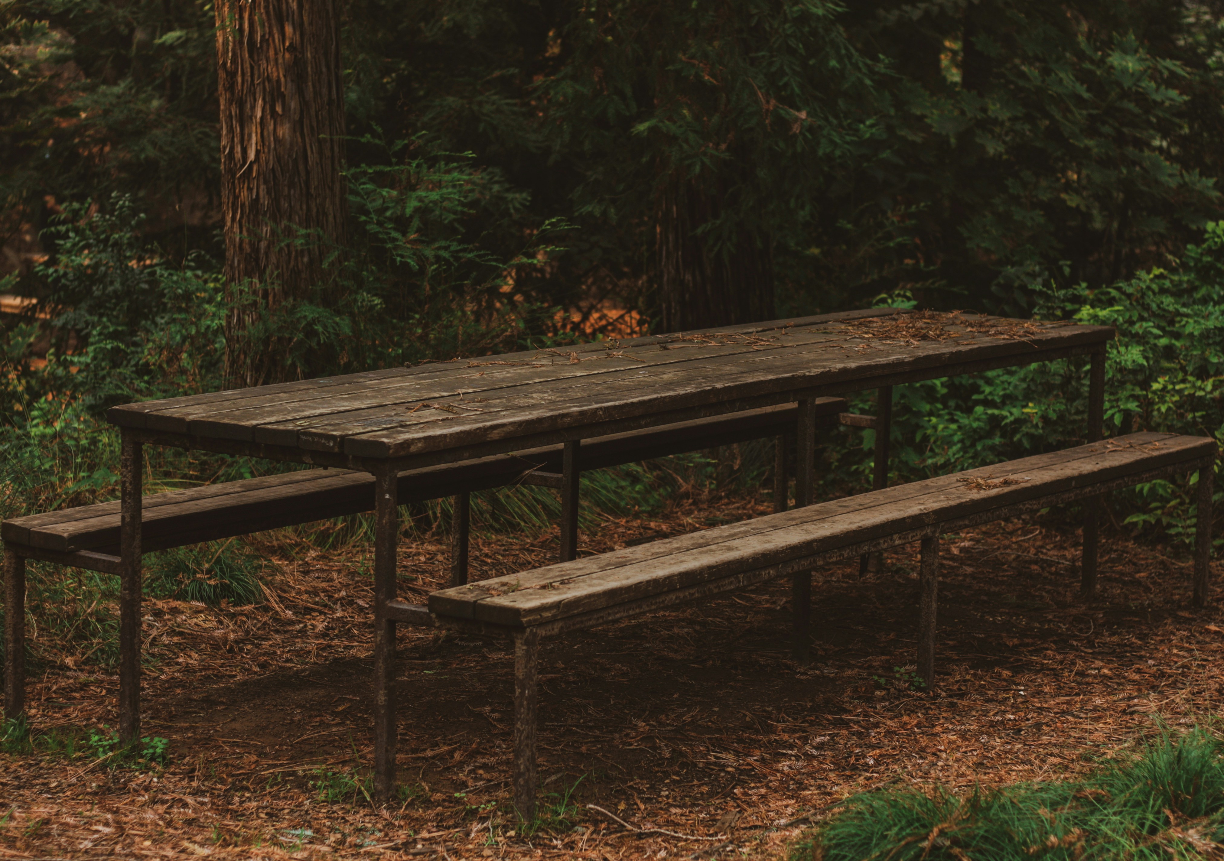 Photo by parsoakhorsand