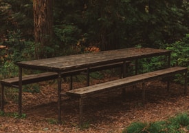A rustic wooden picnic table with attached benches is situated in a shaded forest area. The table is weathered, with some leaves and twigs scattered on its surface, surrounded by tall trees and dense, green foliage. The ground is covered with dry, brown leaves and pine needles.