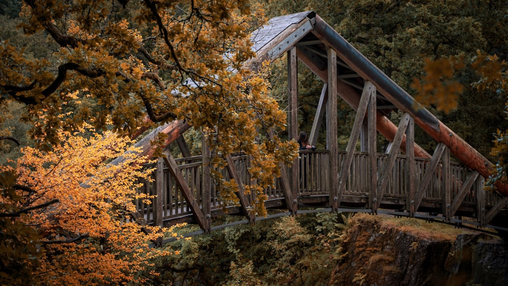 Pont en bois marron entouré d’arbres