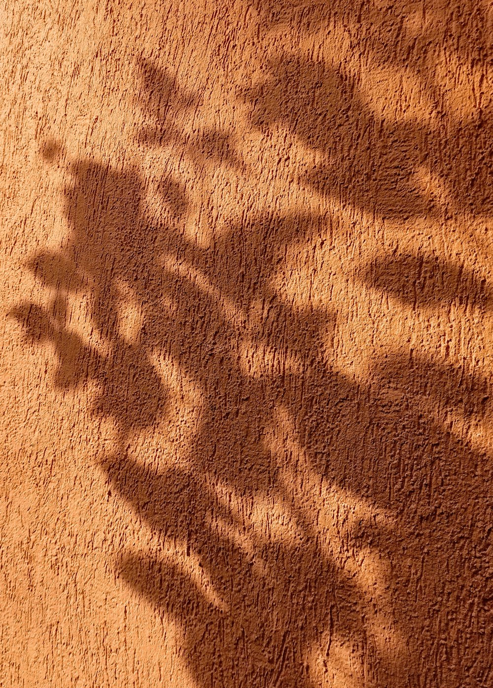 brown sand with shadow of person