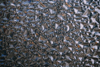 A close-up of a professional window film sample showing texture and color variations.