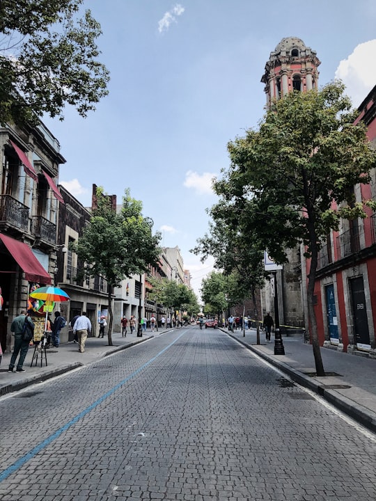 people walking on street during daytime in Centro Histórico de la Ciudad de México Mexico