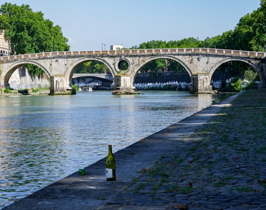 gray concrete bridge over river during daytime in Adrian Park Italy