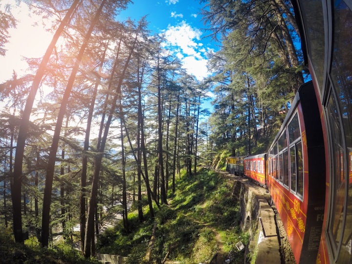 Things to Do on a Family Vacation in Shimla, Himachal Pradesh