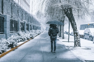 A person walks down a snowy urban street holding an umbrella. The ground and surrounding trees are lightly covered with snow, and parked cars line the street. The atmosphere appears cold and overcast.