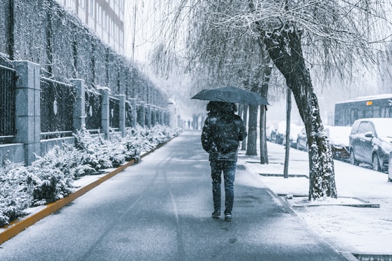 A person walks down a snowy urban street holding an umbrella. The ground and surrounding trees are lightly covered with snow, and parked cars line the street. The atmosphere appears cold and overcast.