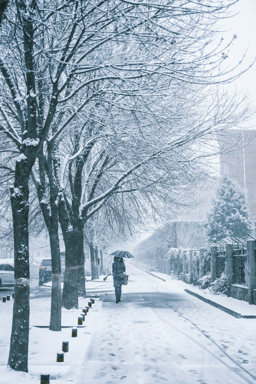 person in black jacket walking on sidewalk during daytime