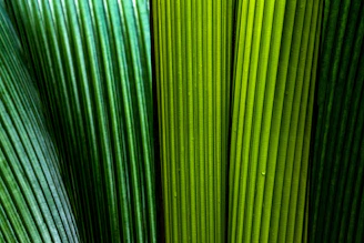green and white striped textile