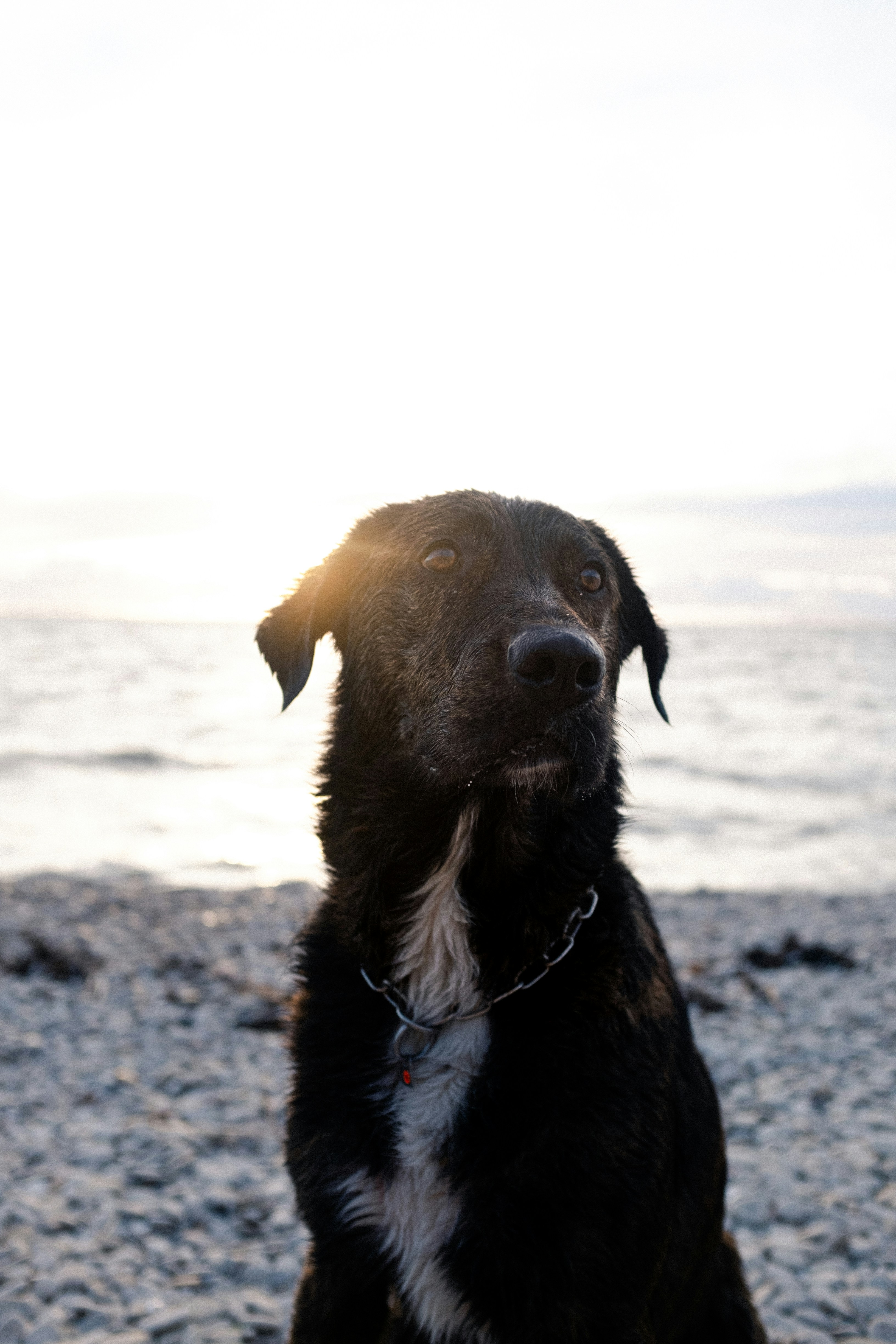 Photo by williamfntn