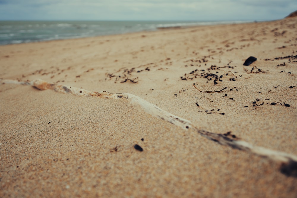 footprints on the sand near the sea during daytime