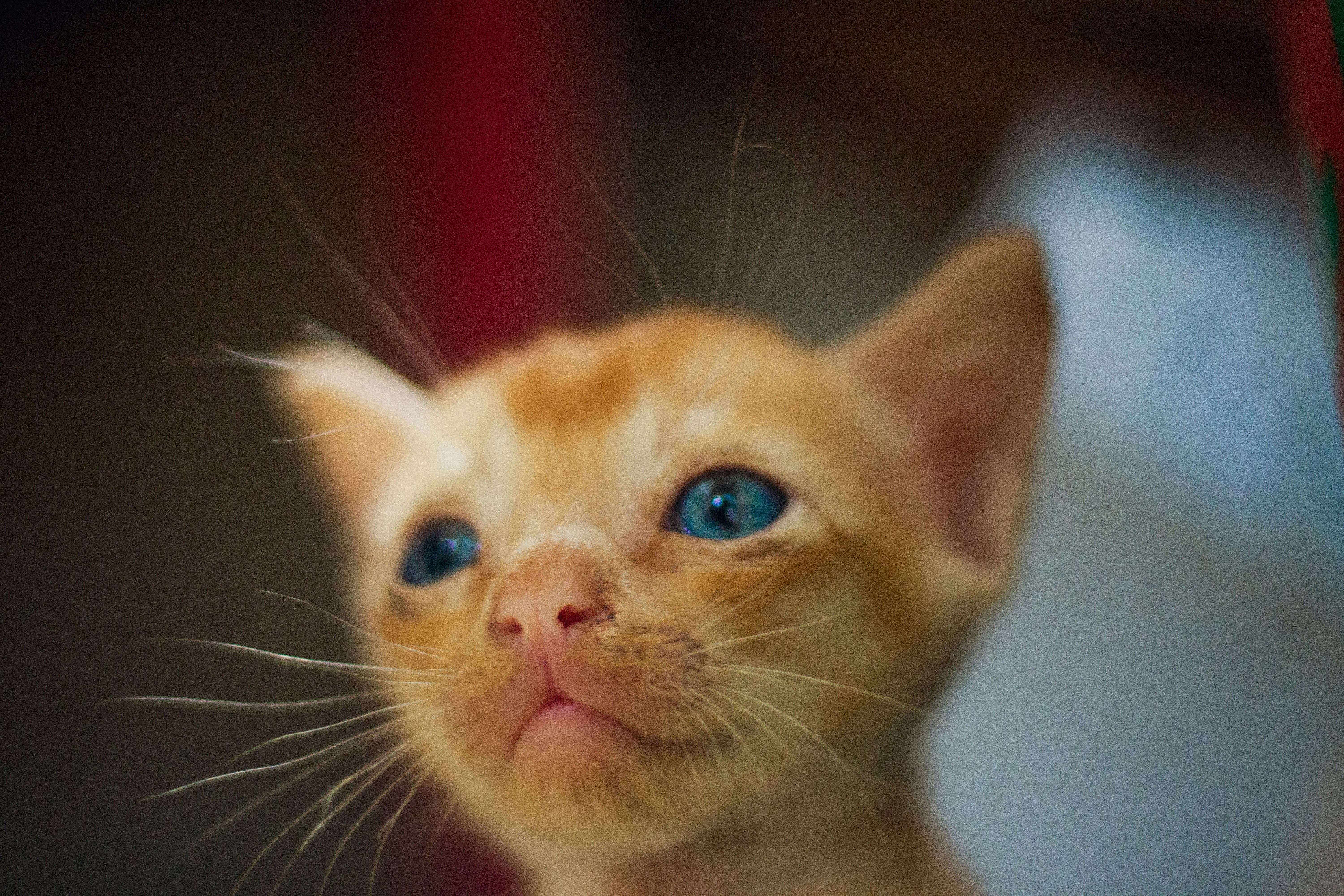 Photo by lazyartistgallery