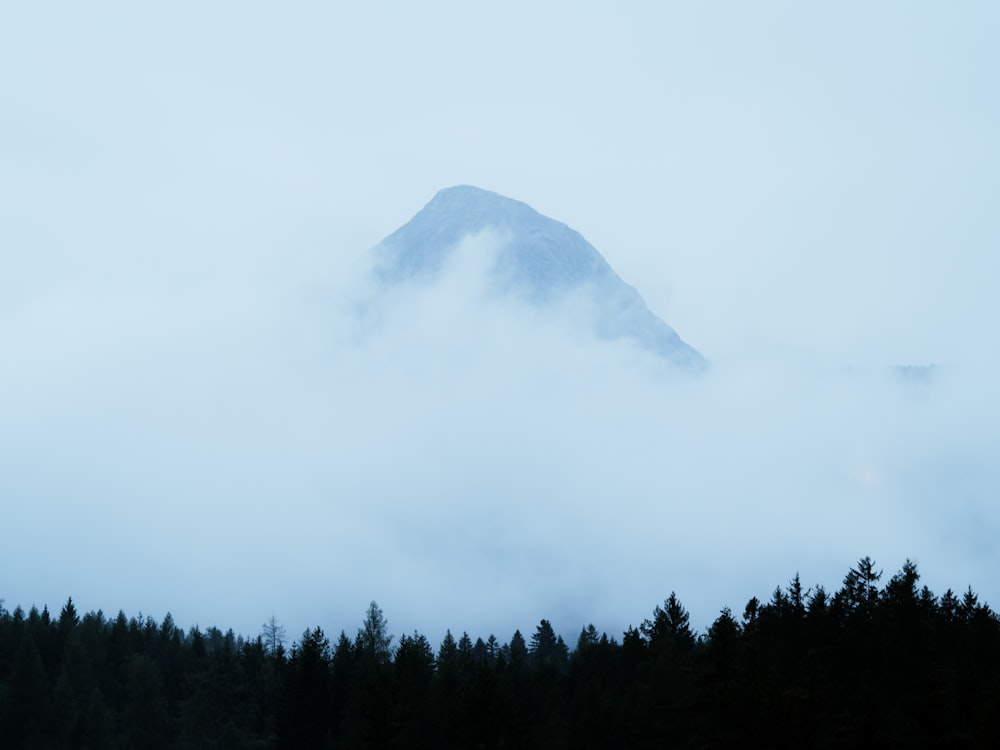 昼間の白い雲の下の山の緑の木々