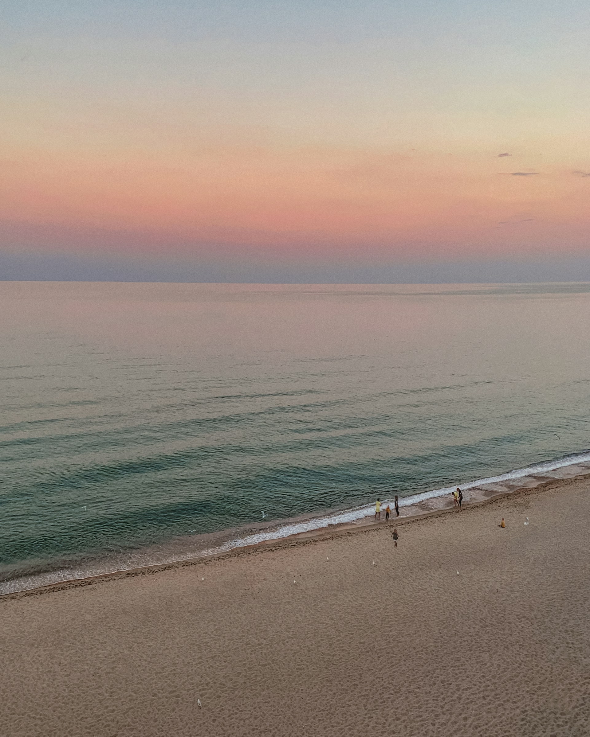 people on beach during daytime