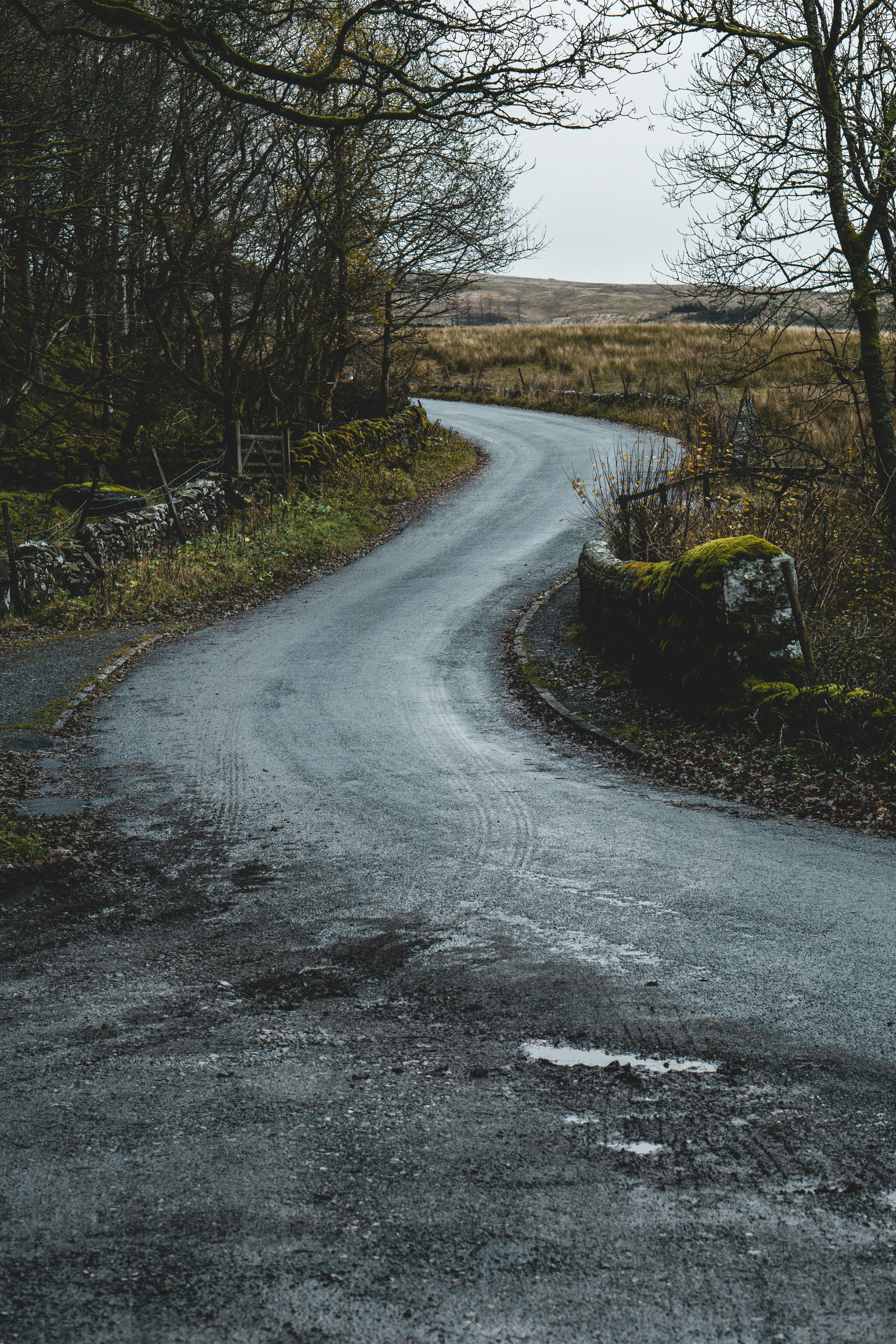 gray concrete road between green grass and trees during daytime